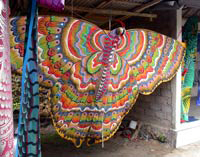 Butterflykite