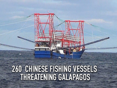Chinese threat to the Galapagos