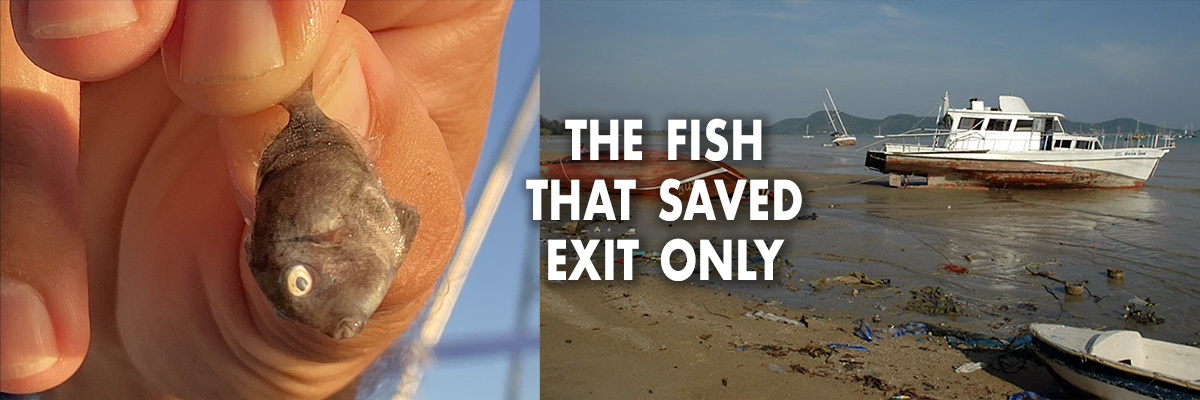 The fish that saved Exit Only